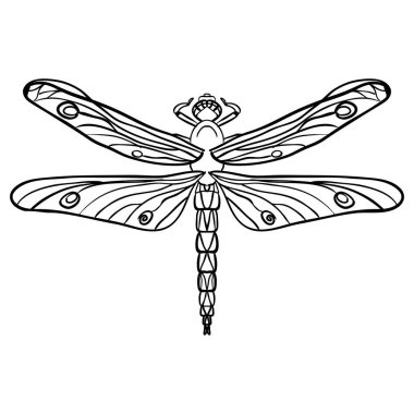 Yusufçuğun karalama tasarımı, tasarım unsuru, yetişkin boyama kitabı sayfaları. Dövme, tebrik kartı, tişört, kumaş torbası, poster tasarımı. Böcek koleksiyonu. Stres önleyici.