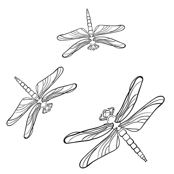 蜻蜓的涂鸦设计 设计元素 成人彩色书页 纹身设计 昆虫收集 抗压力 — 图库矢量图片