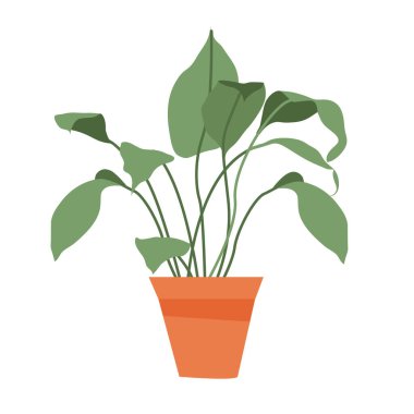 Saksı. Çiçek yaprağının doğa karikatürü vektör çizimi. Çiçek açan bitki, botanik kabı. Saksı bitkileri vektörü. Ev bitkileri.