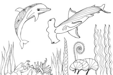 Köpekbalığını. Boyama kitabı. Çocuklar ve yetişkinler için el boyama kitabı. Şablonları ve küçük detayları olan güzel çizimler..