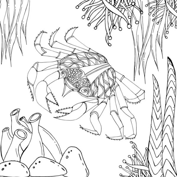 Kepiting Laut Berenang Antara Buku Mewarnai Rumput Laut Gambar Tangan Stok Vektor Bebas Royalti