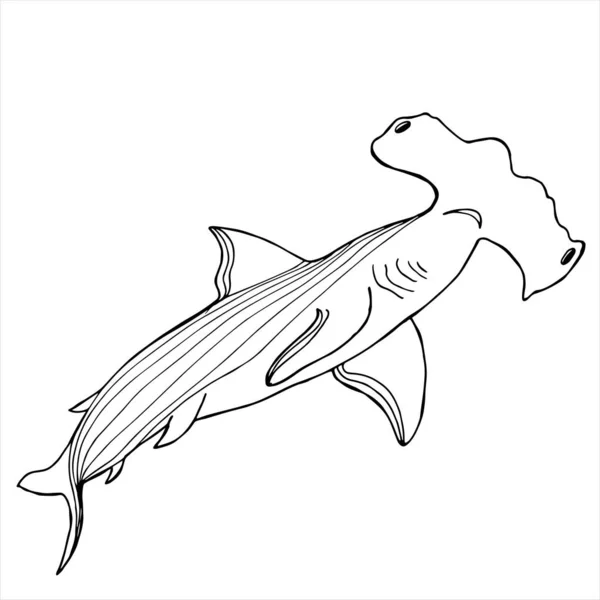 Hammerhead Shark Coloring Book Hand Drawing Coloring Book Children Adults — Stock Vector