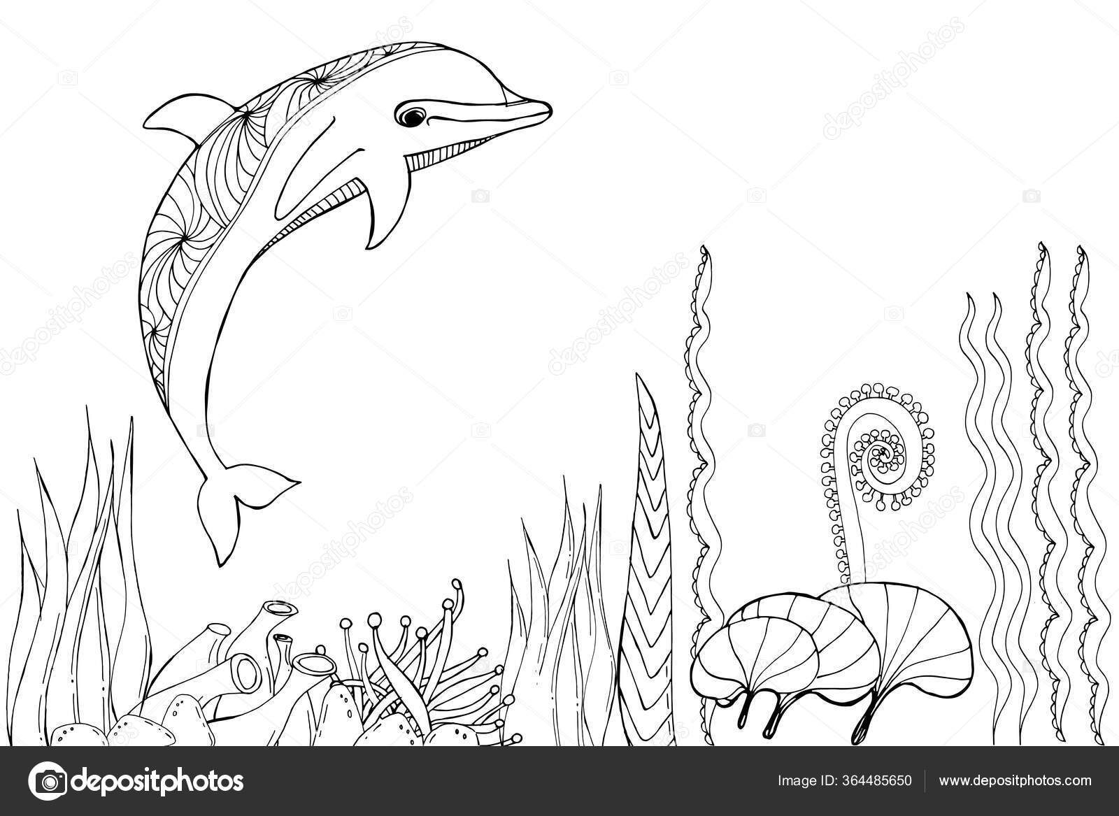 Illustrations　Algae　Adults　Vector　Coloring　Stock　Surrounded　Underwater　Dolphin　364485650　Book　Sea　Coloring　by