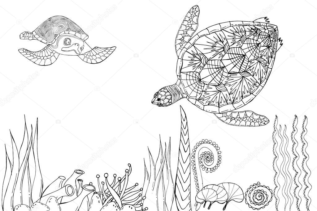 ✅ sea turtle swimming among seaweed coloring book hand