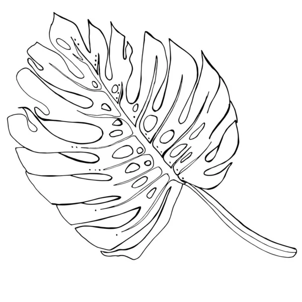 Тропічні Пальми Листя Листя Джунглів Вектор Безшовний Квітковий Візерунок Фону — стоковий вектор