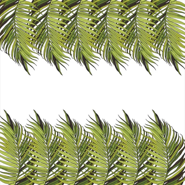 Hojas Palma Tropical Fondo Gráfico Exótico Marco Estilo Diseño Gráfico — Vector de stock