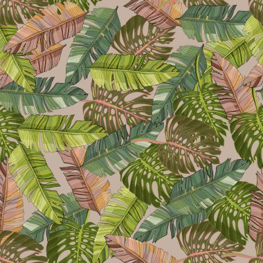 Tropik palmiye yaprakları ve canavar, orman yaprağı taşıyıcısı, dikişsiz çiçek desenli arka plan. Duvar kağıdı, kumaş ve dekorasyonun klasik botanik çizimi