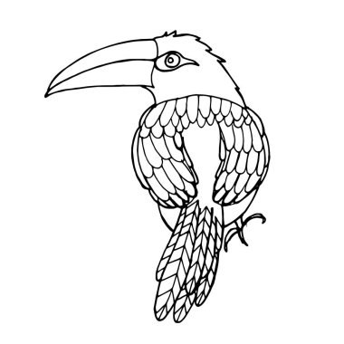 Vektör eli çizilmiş bir tukan. Çocuklar ve yetişkinler için el boyama kitabı. Şablonları ve küçük detayları olan güzel çizimler. Stres önleyici ve çocuk boyama sayfası, amblemi veya dövmesi için.