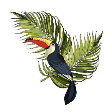 Tukan ve palmiye dallarının vektör bileşimi. Çocuklar ve yetişkinler için el boyama kitabı. Güzel çizimler. Seyahat ve eğlence için sanat baskısı, moda, kaplıca ve sağlık, düğünler