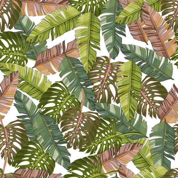 Folhas Palma Tropicais Monstera Floresta Folha Vetor Sem Costura Floral —  Vetores de Stock