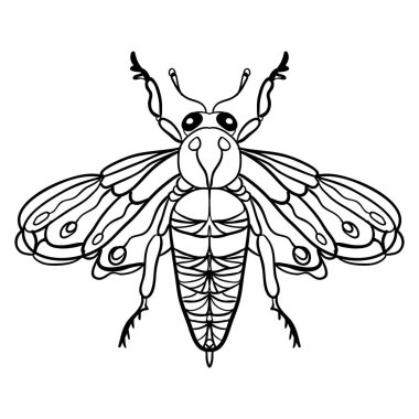 Detaylı bir güve çizimi, yetişkin stresi için elle çizilmiş bir karışım. Rahatlamak ve meditasyon yapmak için beyaz arka planda izole edilmiş yüksek detayları içeren boyama sayfası. boyama kitabı