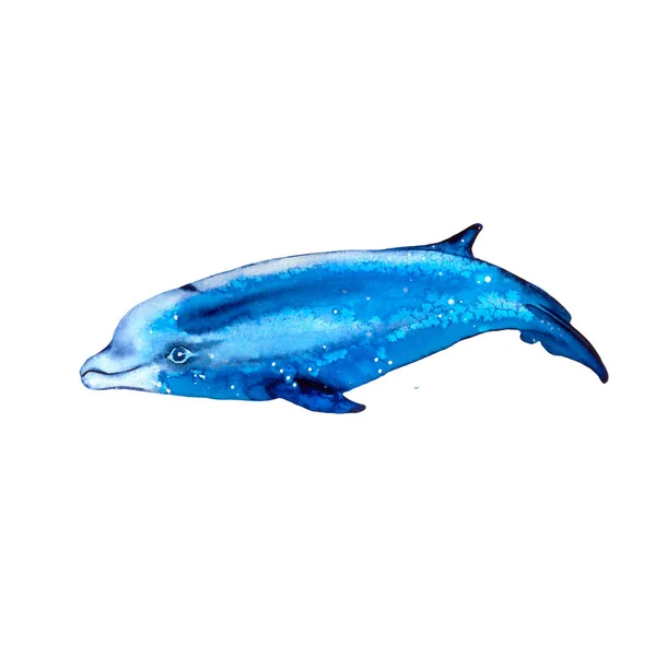 イルカは白い背景に隔離された 水彩画 夏の気分海海 青い色調の海と海の生き物 招待状のデザインのために 子供のアルバム 露骨なNoi スクラップブッキング — ストック写真