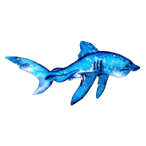 ブルーシャーク 水彩手描きイラスト 夏の気分海海 青い色調の海と海の生き物 招待状 子供のアルバム スクラップブッキングのデザインのために — ストック写真