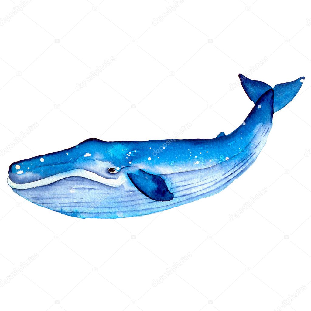 Blue  whale. Summer mood, sea, ocean. Sea and ocean creatures in blue tones. For the design of invitations, children's albums, textiles, thieves, scrapbooking.