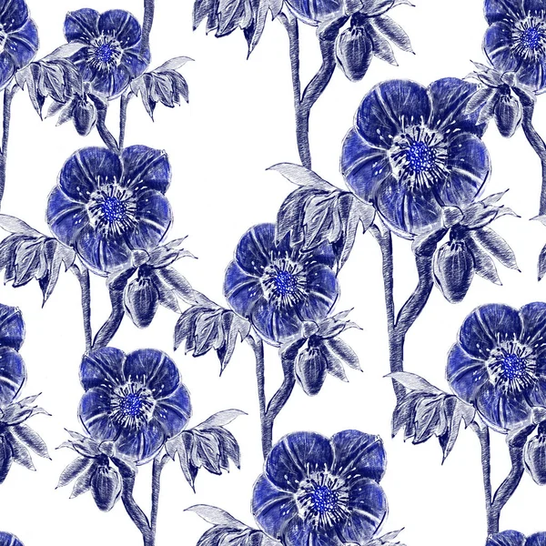 Seamless pattern. Hellebore Flower, bud and leaf. Floral design elements. Botanical illustration. Vintage style. Blue and white. Ink. For the design of wedding invitations, textiles, paper.