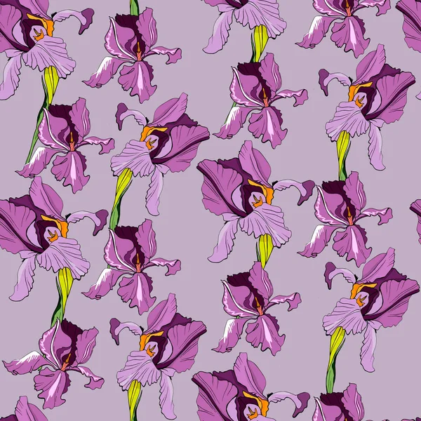 Бесшовный Рисунок Фиолетовыми Цветами Радужки Векторная Иллюстрация Creative Realistic Doodle — стоковый вектор