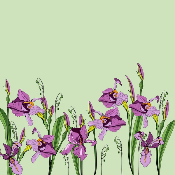 Zarten Floralen Hintergrund Mit Lila Schwertlilien Vektor Illustration Eines Kreativen — Stockvektor