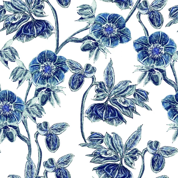 Seamless pattern. Hellebore Flower, bud and leaf. Floral design elements. Botanical illustration. Vintage style. Blue and white. Ink. For the design of wedding invitations, textiles, paper.