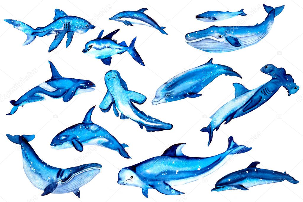 Vintage watercolor elements in a nautical theme. Hand drawn whale, shark, dolphin, killer whale, fish, beluga. Ocean life. Deep sea animals. for stickers, design diaries, gliders.