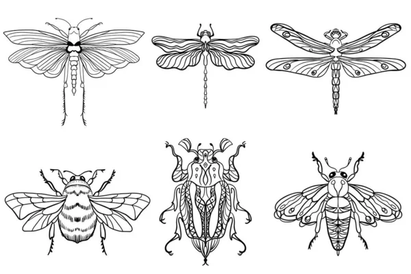 Insekten Bienen Libellen Käfer Motten Set Vorhanden Vintage Handgezeichnete Gravurvektorsammlung — Stockvektor