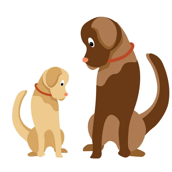 Cría Perros Labrador Perro Joven Amigable Color Claro Sienta Mira — Vector de stock