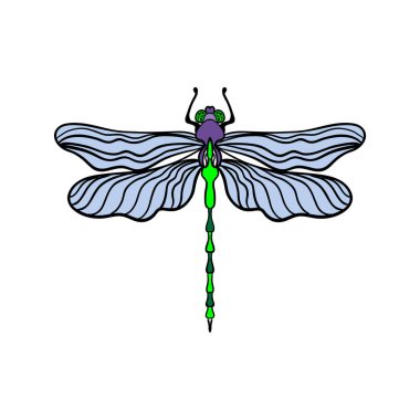 Beyaz arka plandaki parlak yusufçuk. Siyah özet. Klasik tarzda elle çizilmiş vektör illüstrasyonu.