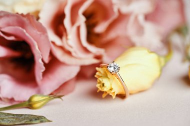 Elmas Altın Yüzük ve Pembe Çiçek Arkaplanı