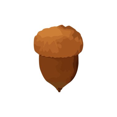 Beyaz üzerine izole edilmiş palamut çizimi