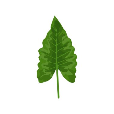 Beyaz arka planda izole edilmiş tropikal yaprak vektör çizimi. Vektör içinde yeşil tropik yaprak