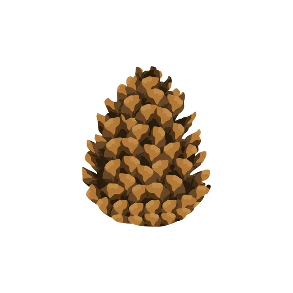 Isolated Conifer Cone Illustration White Conifer Cone Vector — Stock Vector