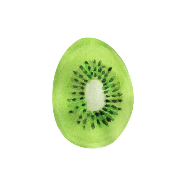 Watercolor Kiwi Illustration White Background Vector Isolated Watercolor Kiwi — 스톡 벡터