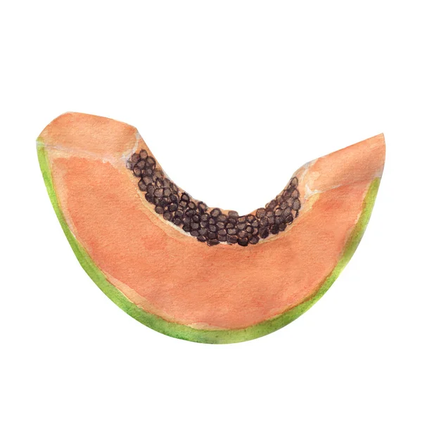 Illustration Tranche Papaye Aquarelle Isolée Sur Fond Blanc Aquarelle Fruits — Image vectorielle