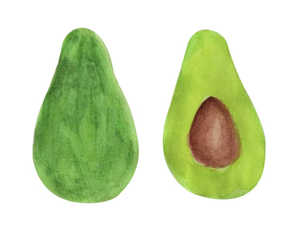 Met Hand Getekende Avocado Plakjes Witte Achtergrond Avocado Plakjes Avocado — Stockvector