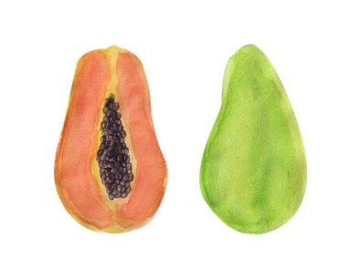 Suluboya papaya dilimleri beyaz arkaplanda izole edilmiş resimleme seti. Suluboya tropikal meyve papaya. Çizilmiş renkli papaya
