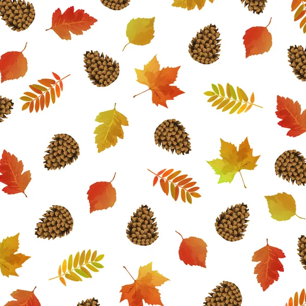 有叶子和针叶树的秋天花纹 秋天的背景 有树叶和针叶树 — 图库矢量图片