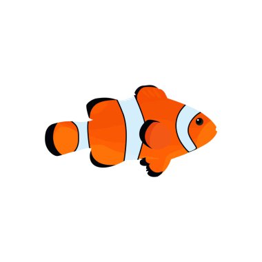 Vektör içindeki zehirli palyaço balığının izole bir çizimi. Vektör olarak balık illüstrasyonu