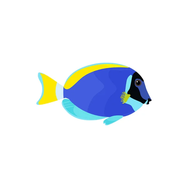 Powder Blue Tang Fish Illustration Vector Isolated Fish White Background — Stock Vector