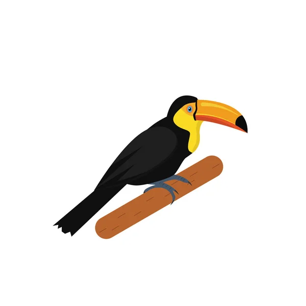 Illustration Toucan Isolée Vecteur Illustration Oiseaux Tropicaux — Image vectorielle