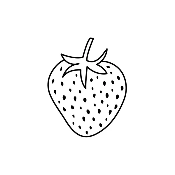 Décrivez Illustration Fraise Main Vecteur Sur Fond Blanc Illustration Fraise — Image vectorielle