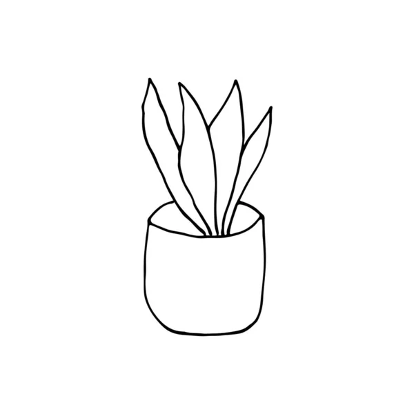 Дудл Иллюстрация Домашнего Растения Рисованные Каракули Домашнего Растения Домашний Цветок — стоковый вектор
