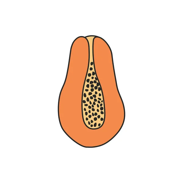 Izolowana Ilustracja Papaja Białym Tle Ilustracja Plastra Papai Wektorze Owoce — Wektor stockowy