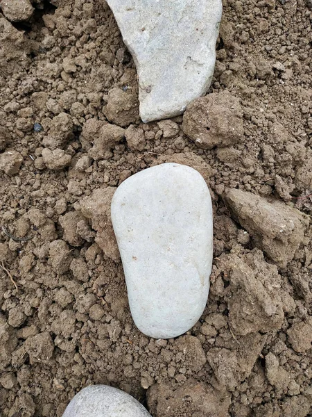 Gray stone on the ground top view