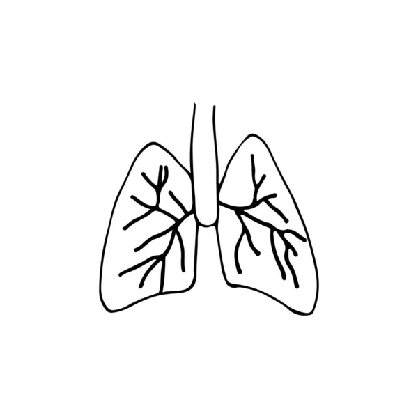 Ikona Płuca Doodle Wektorze Ręcznie Rysowana Ikona Płuc Ikona Medyczna — Wektor stockowy