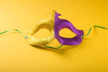 Mardi Gras ya da karnaval maskeli renkli bir grup.