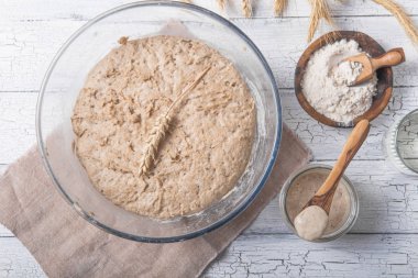 Ekmek yaprakları aktiftir. Startersourdough (ekmek pişirmek için mayalanacak su ve un karışımı). Sağlıklı beslenme kavramı