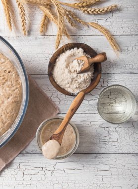 Ekmek yaprakları aktiftir. Startersourdough (ekmek pişirmek için mayalanacak su ve un karışımı). Sağlıklı beslenme kavramı