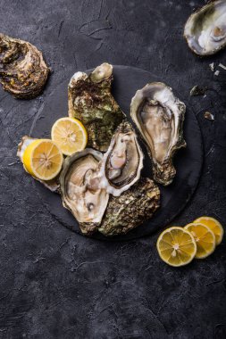 Kara kedi pençeli taze istiridye. Sağlıklı deniz ürünleri. Restoranda akşam yemeği. Gurme yemeği. Karanlık arka plan. Üst görünüm