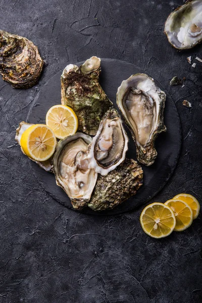 Kara kedi pençeli taze istiridye. Sağlıklı deniz ürünleri. Restoranda akşam yemeği. Gurme yemeği. Karanlık arka plan. Üst görünüm