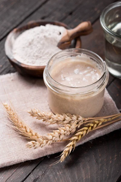 Arrancador Masa Fermentada Casera Fresca Una Mezcla Fermentada Agua Harina — Foto de Stock