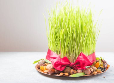 Nowruz tatilin kutlu olsun. Çeşitli kurutulmuş meyve, fındık, tohum, yeşil çimen buğdaylı renk arkaplanı, kopya alanı üst görünümü kutlamaları